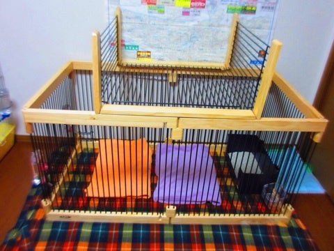 導入して分かったメディカル60サークルケージのデメリットとか | mayo