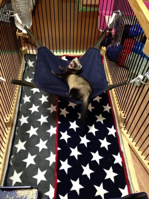 導入して分かったメディカル60サークルケージのデメリットとか | mayo