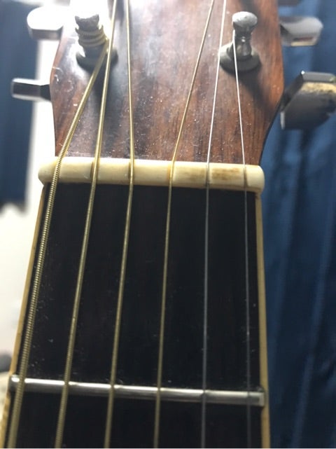 MorrisのMD506 | 好きに勝手にいろんな楽器