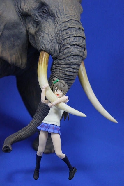 メガソフビアドバンス アフリカゾウ（MSA-007） | ぽんのじ