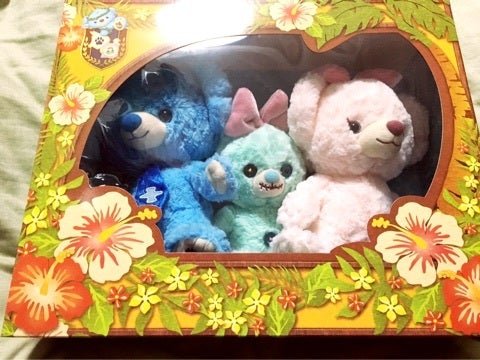 お迎えしたブルーベリーパイ！！ | kanonのﾌﾞﾛｸﾞ