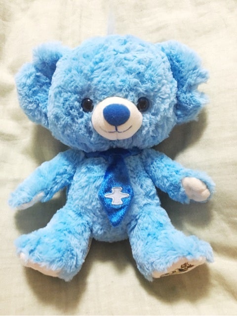 お迎えしたブルーベリーパイ！！ | kanonのﾌﾞﾛｸﾞ