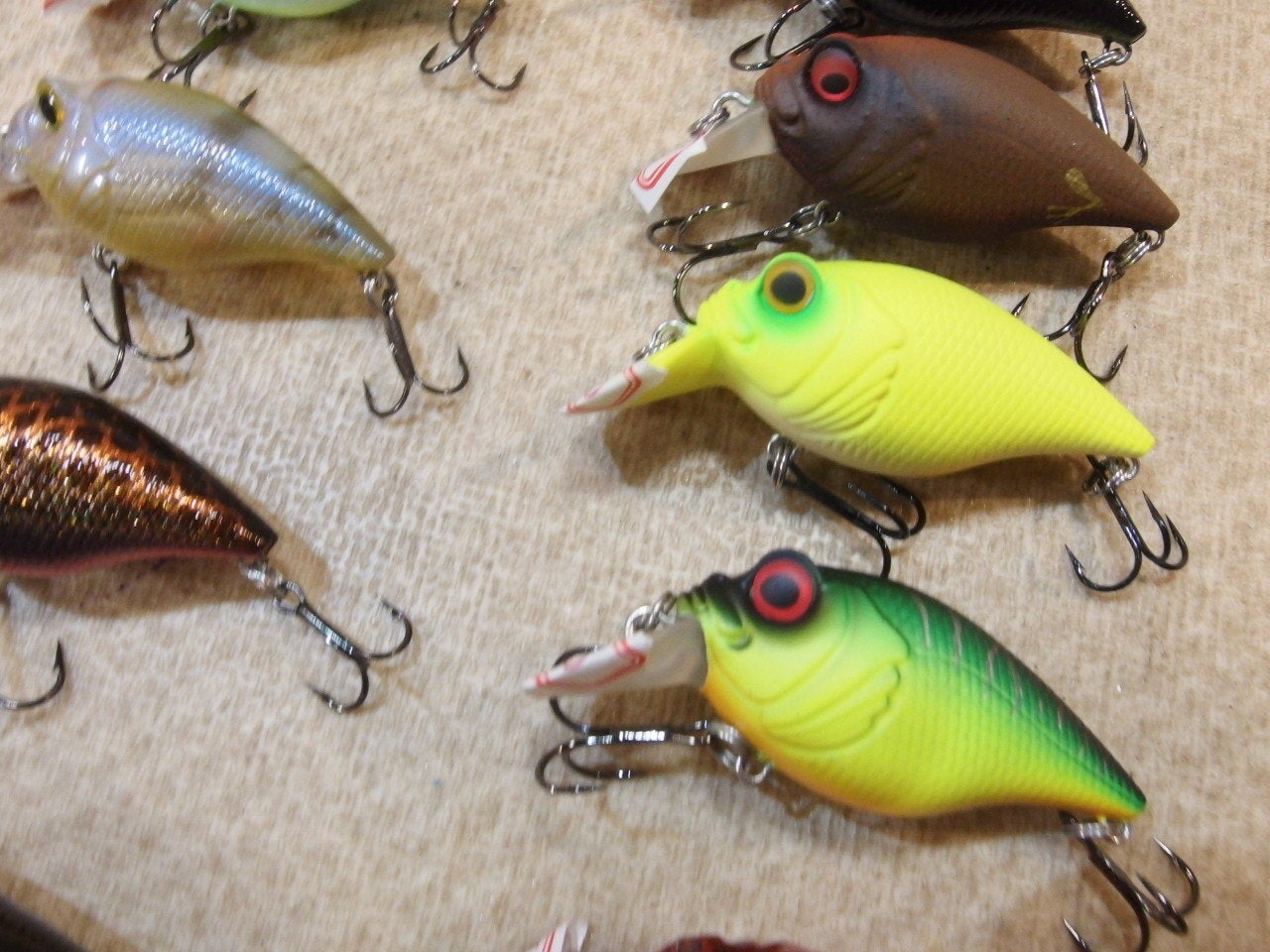 メガバス・希少】SR-X グリフォン 『ショップ スペシャルカラー』2