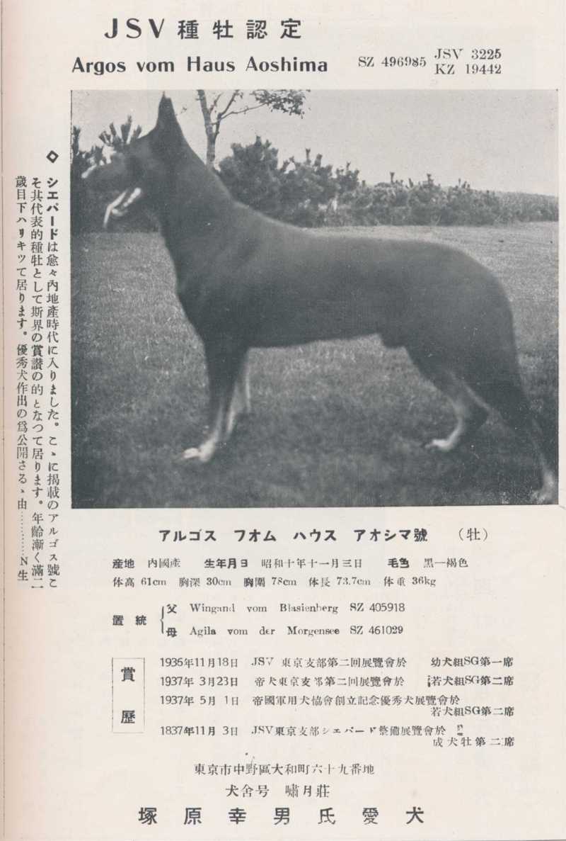 アルゴス・フォム・ハウス青島JSZ3225（種牡犬） | 帝國ノ犬達