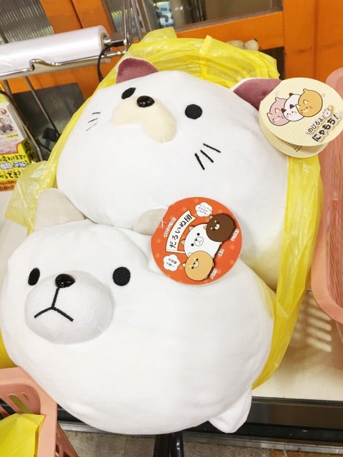 だるいぬ団×にゃもち | 作業療法士学生獅子(しし)のブログ