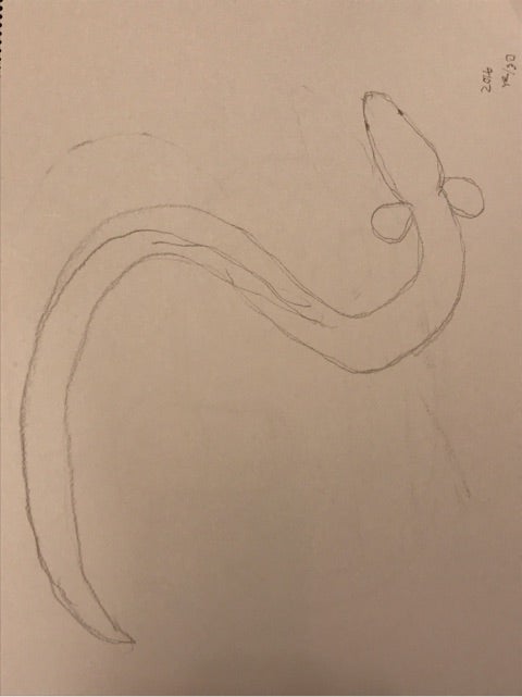 ♦️うなぎのぼり♦️ | 片岡鶴太郎オフィシャルブログ「鶴日和