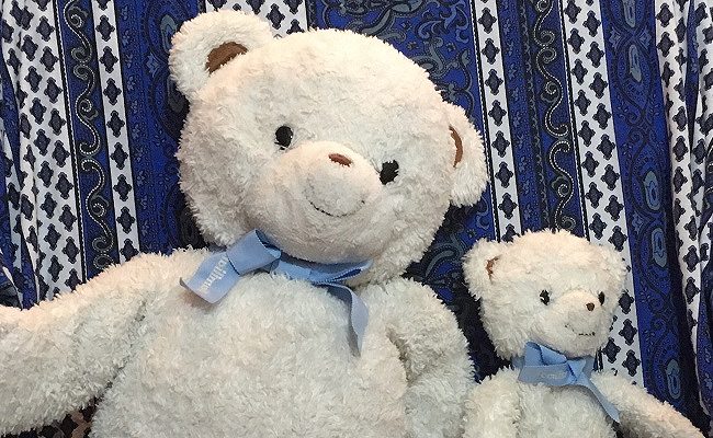 かわいくて、とっても機能的！ファミリアのクマ人形｜ベビーカレンダー