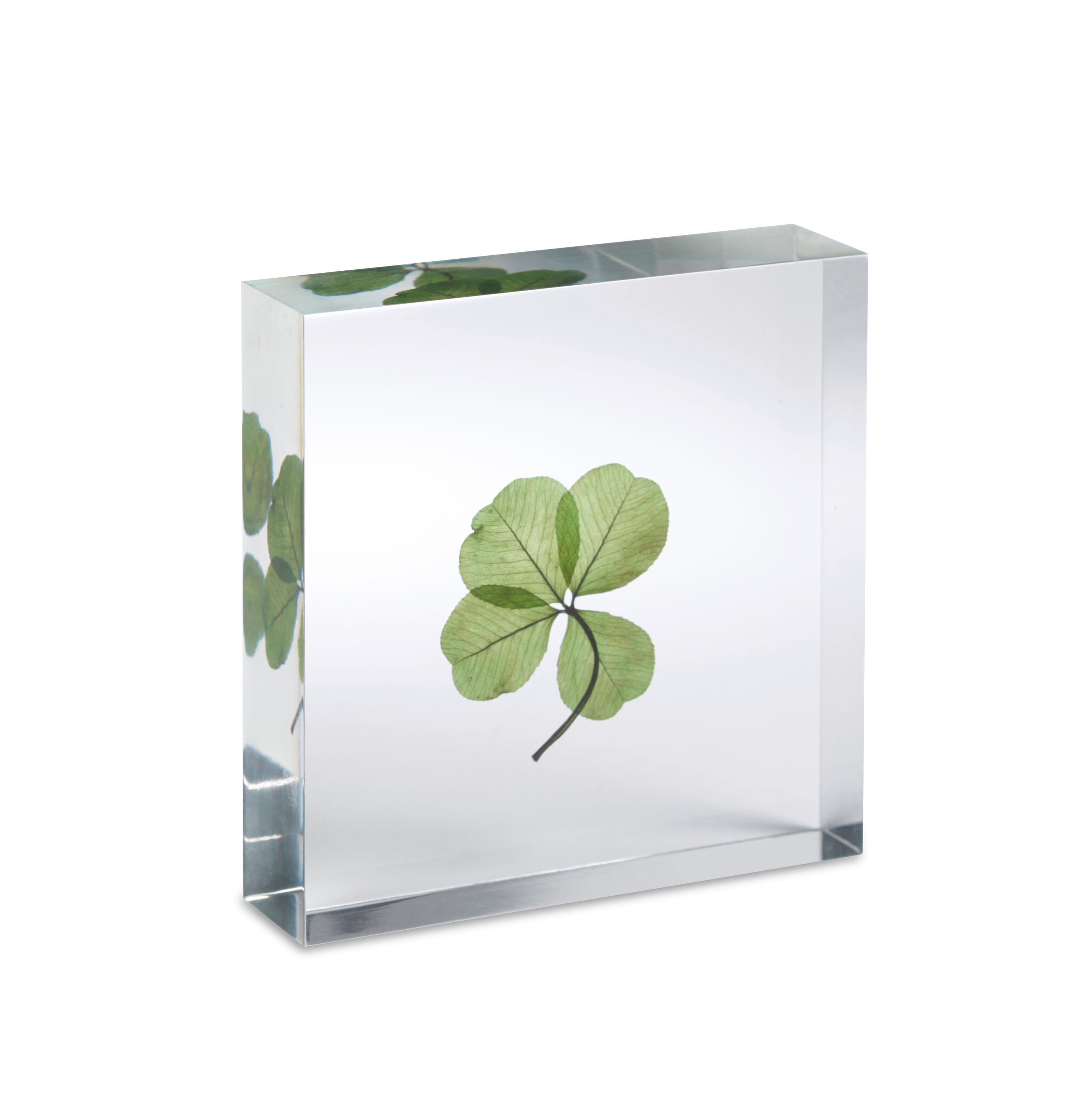Lucky Clover Objet – MoMA Design Store