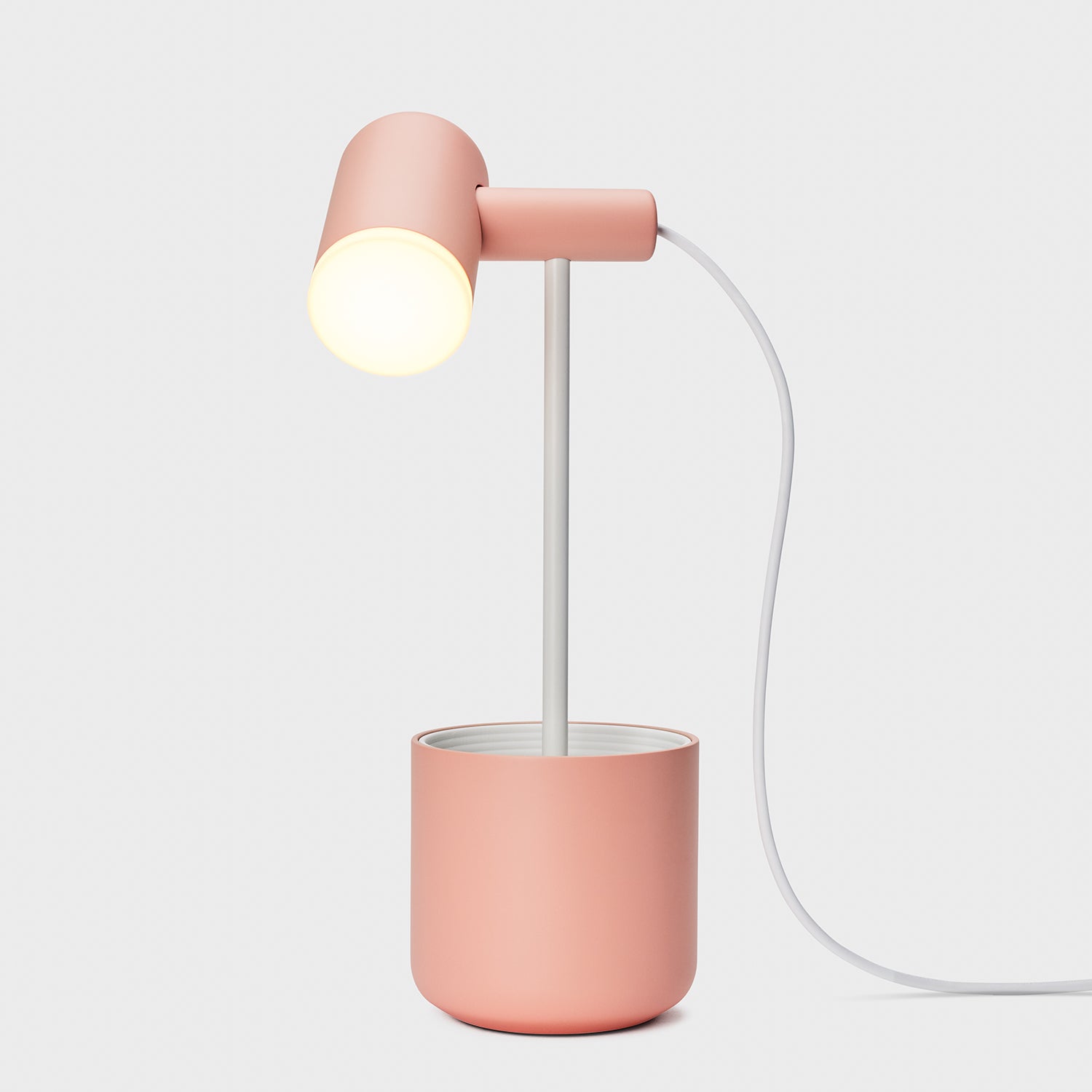 Field Trip Task Light