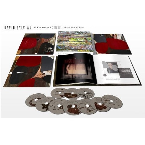 デヴィッド・シルヴィアン / Do You Know Me Now?【輸入盤