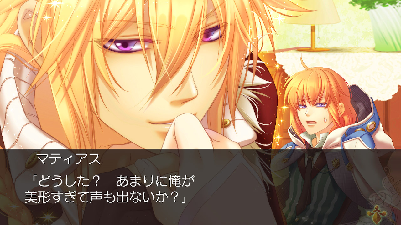 猛獣使いと王子様 ～Flower ＆ Snow～ for Nintendo Switch 俺のSwitchメモ