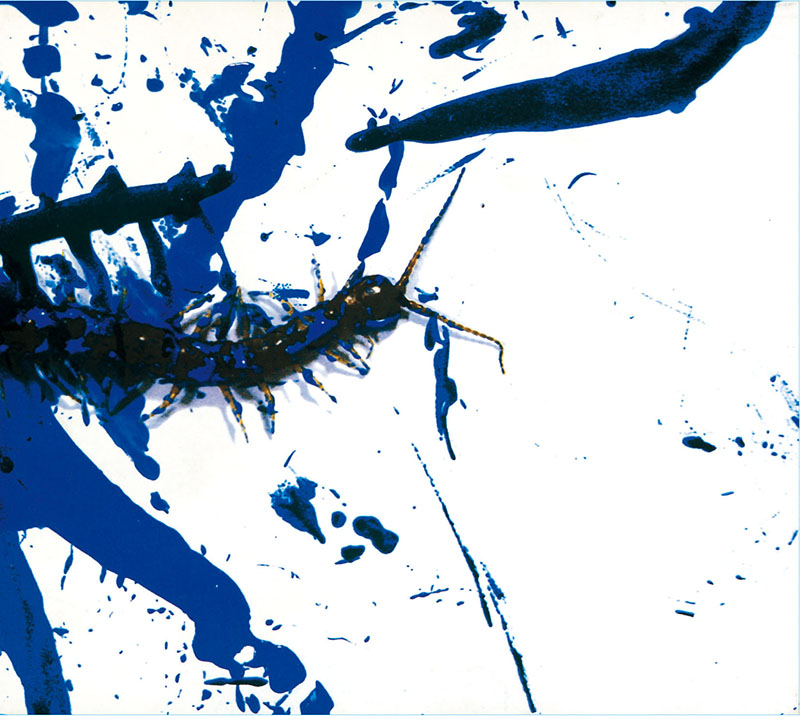 パープルムカデ – syrup16g レビュー