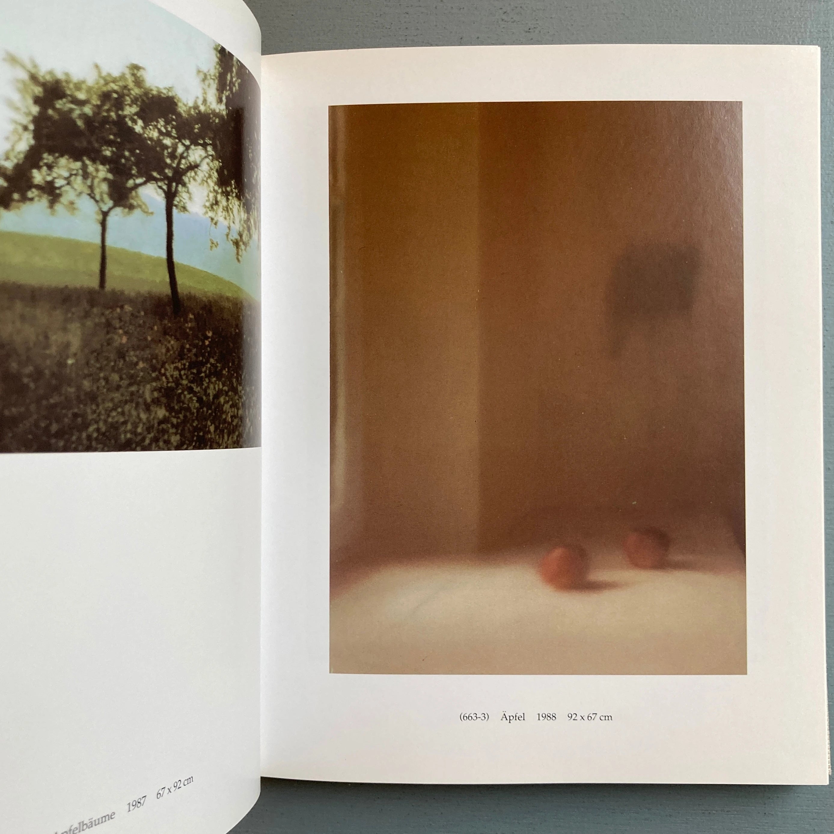 Gerhard Richter - 100 Bilder - Cantz 1996 - Saint-Martin Bookshop