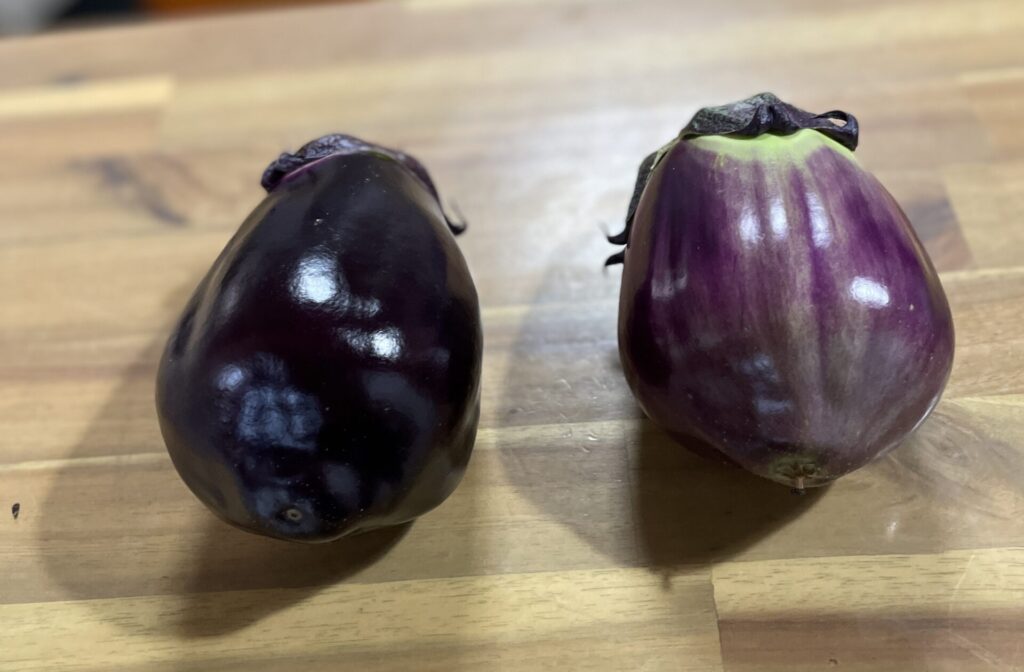 なにわの伝統野菜 貝塚澤なすとは？ – なにわの伝統野菜 貝塚澤なす