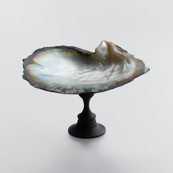 Main_DSC00986_grande.jpg?v=