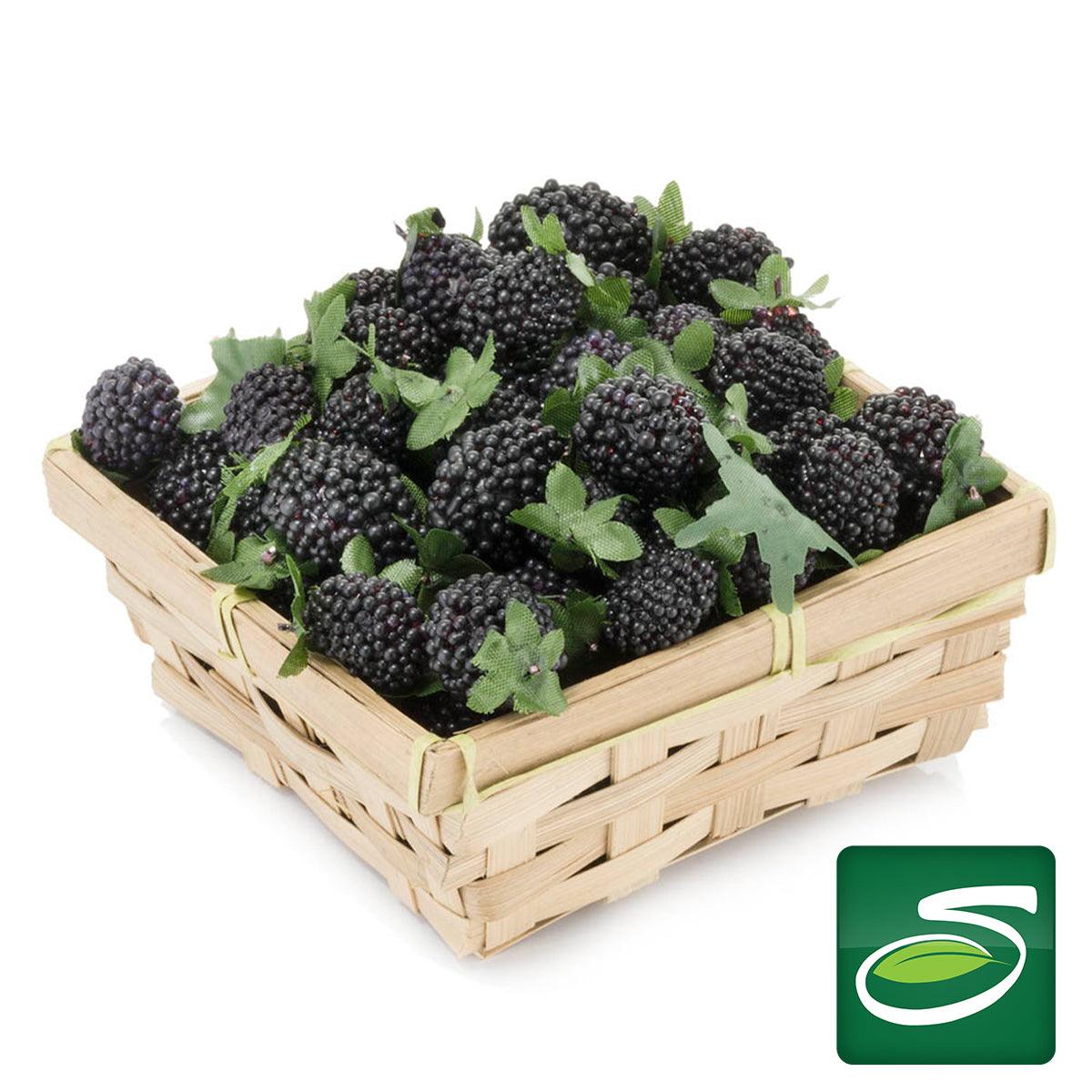 Blackberry Pack – Seabra Foods Online