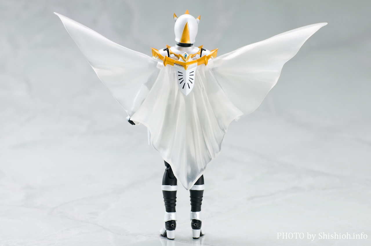 レビュー】 バンダイ 魂ウェブ商店 S.H.Figuarts 仮面ライダーファム