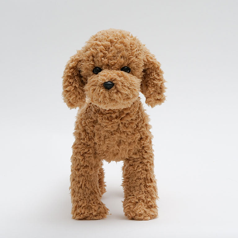 テディプードル ライトブラウン | DOGBASE YOKOHAMA