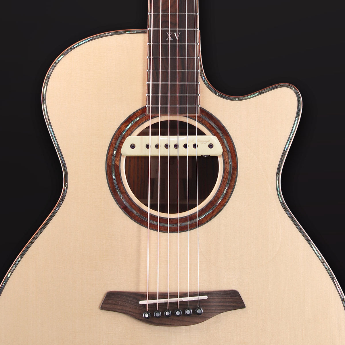 Easy fit M1 Active - L.R. Baggs – Furch shop