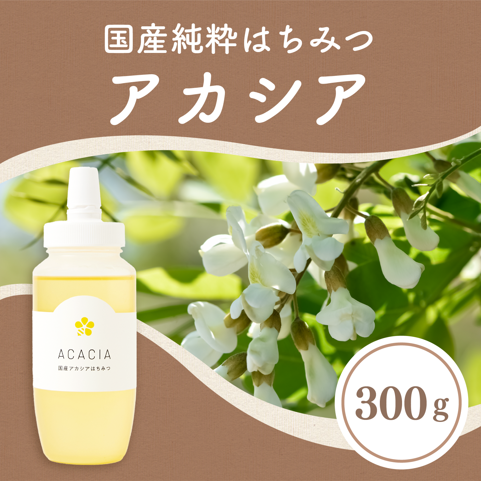 acacia_300_thumbnail.png?v=