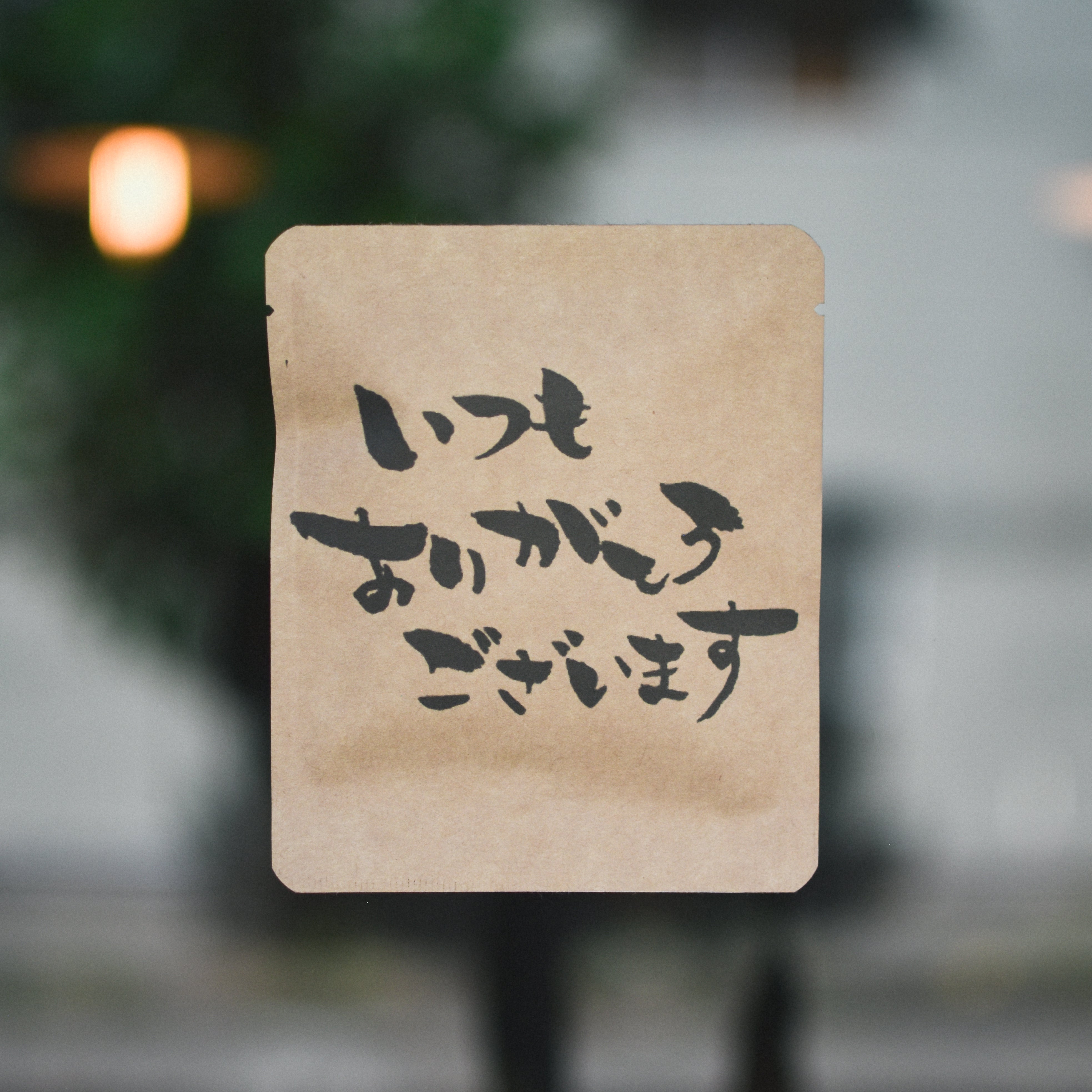 NIC_1585.jpg?v=1669197713