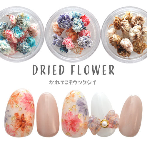 押し花 押花 ドライフラワー 春 お花 ハーバリウムアート が楽しめる