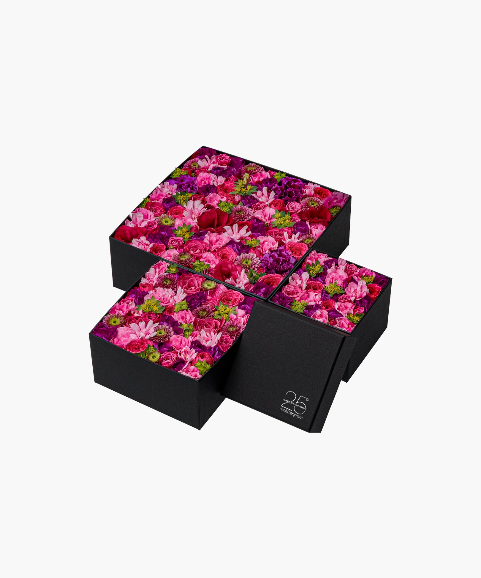 Blushing Rose (ブラッシング ローズ)