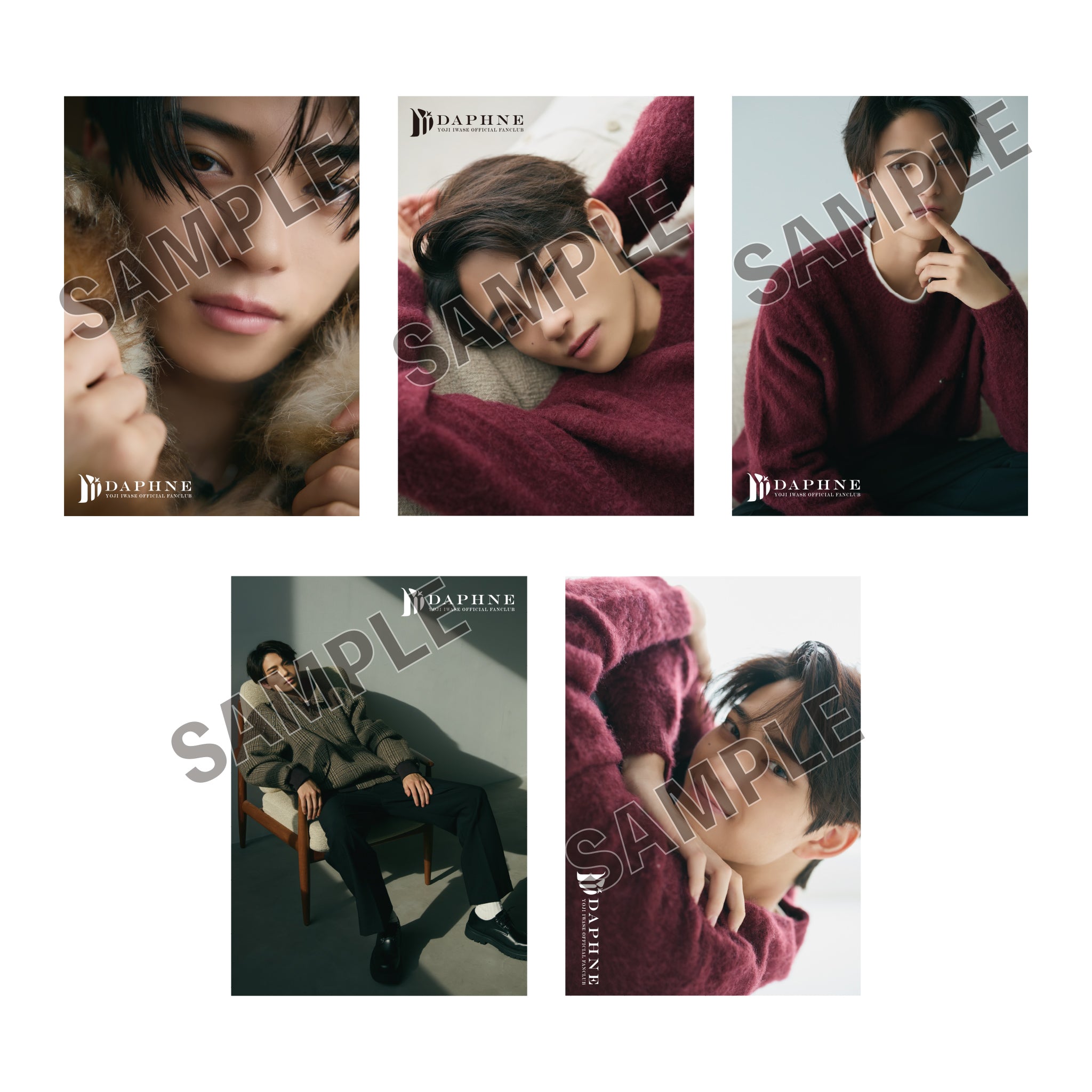 岩瀬洋志/会員限定＞2nd fan meeting ポストカードセット – sheeta-shop