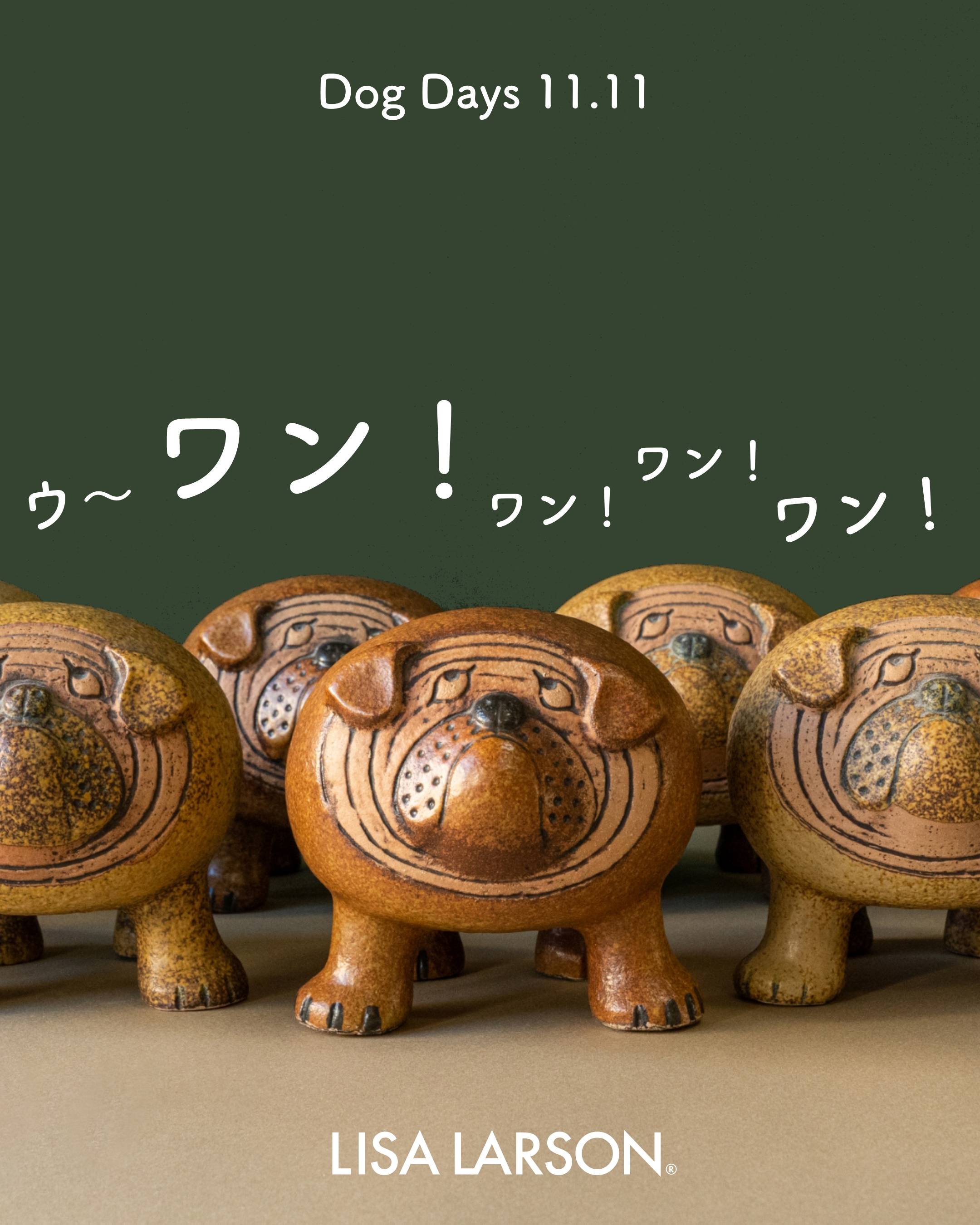 ワン！ワン！ワン！ワン！