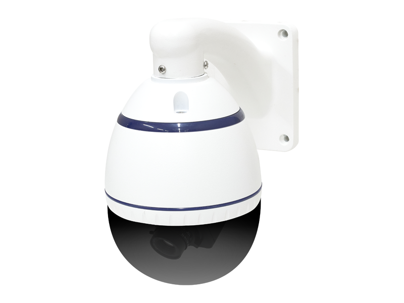 本物志向ダミーカメラシリーズ 屋外用ドーム型モデル WTW-DMY301