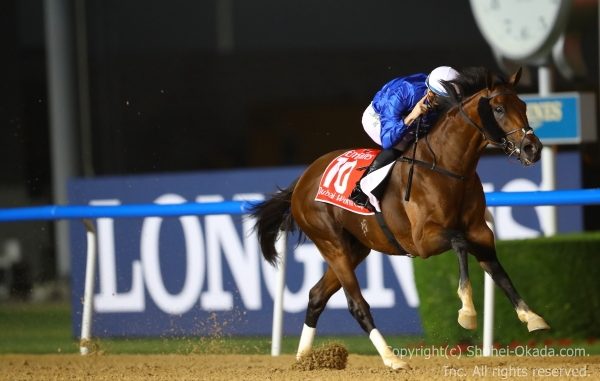 2018 Dubai World Cup(ドバイワールドカップ) – The 岡田修平
