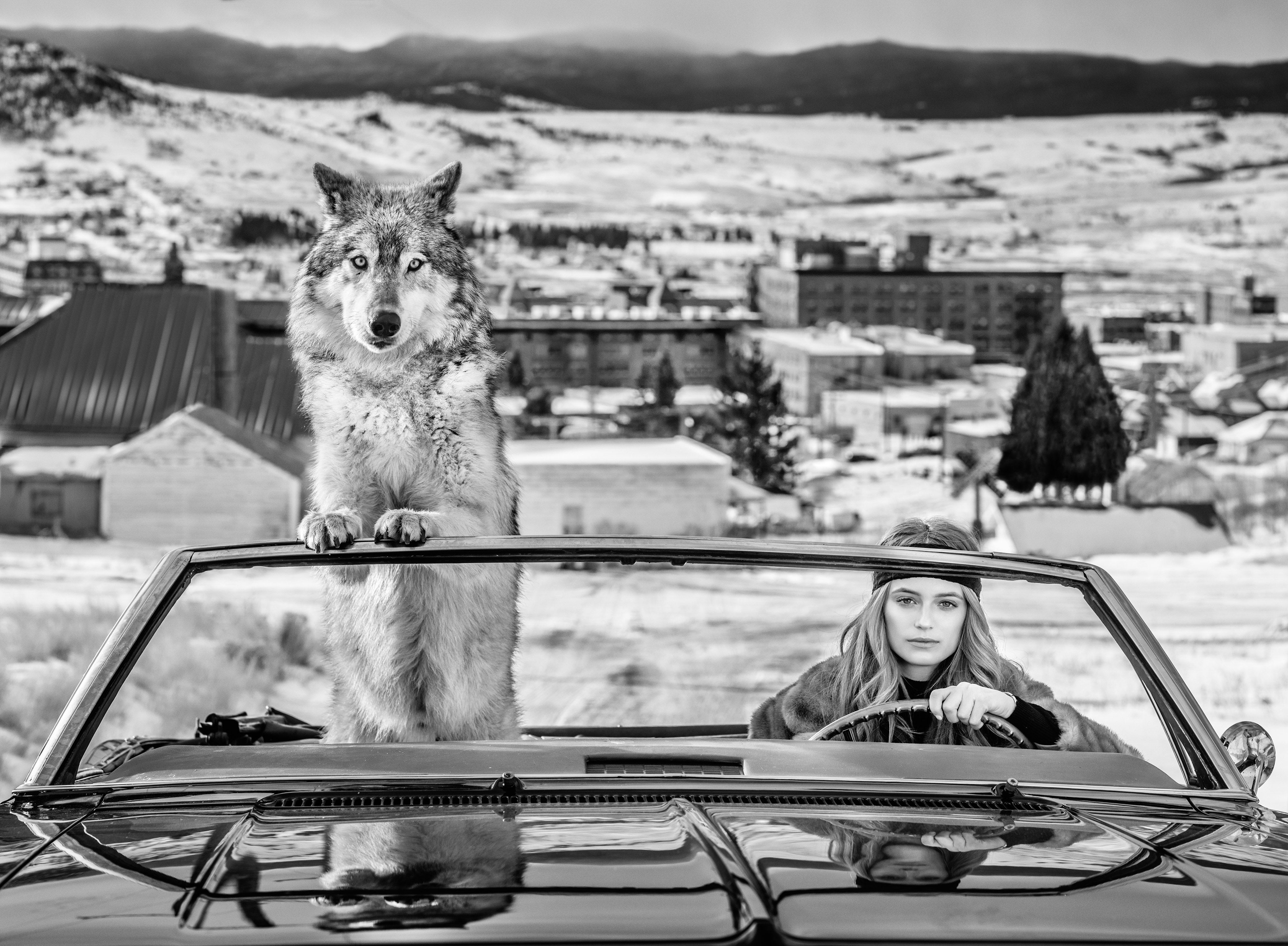 Bonnie and Clyde | David Yarrow | Sorrel Sky Gallery