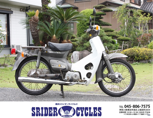 燃える平原児('60米) Flaming Star『燃える平原児』（1960年・FOX