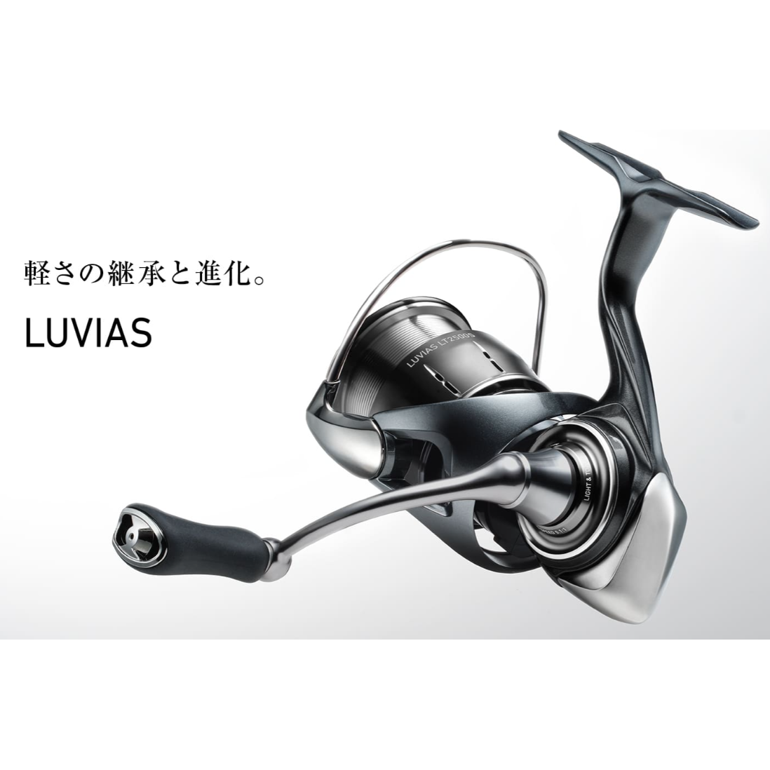 24LUVIAS（24ルビアス） – t-Route