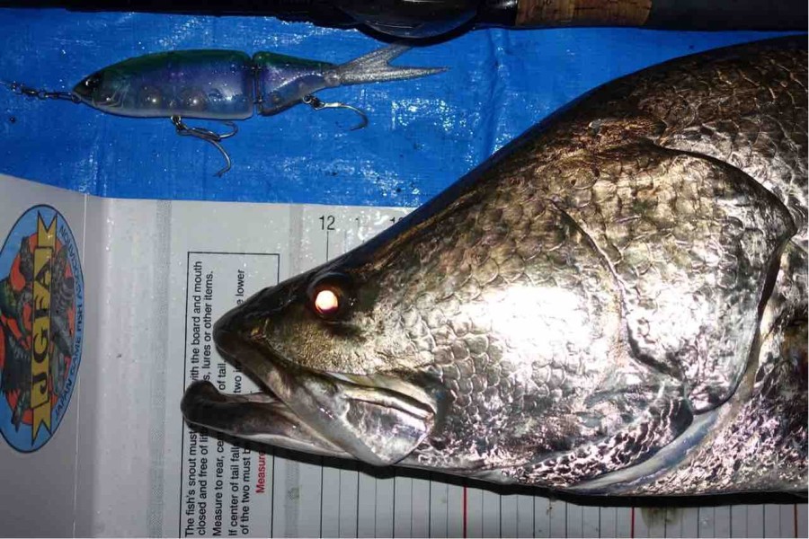 TULALA | Ford every stream | » El Horizonte 80