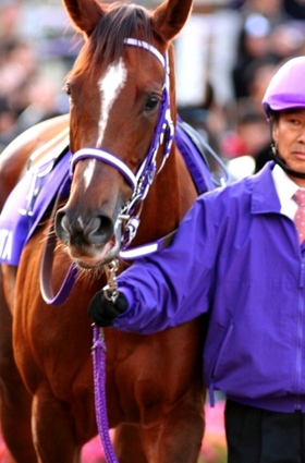 コイウタ もう一度、見たかった。。07ヴィクトリアマイル勝ち馬