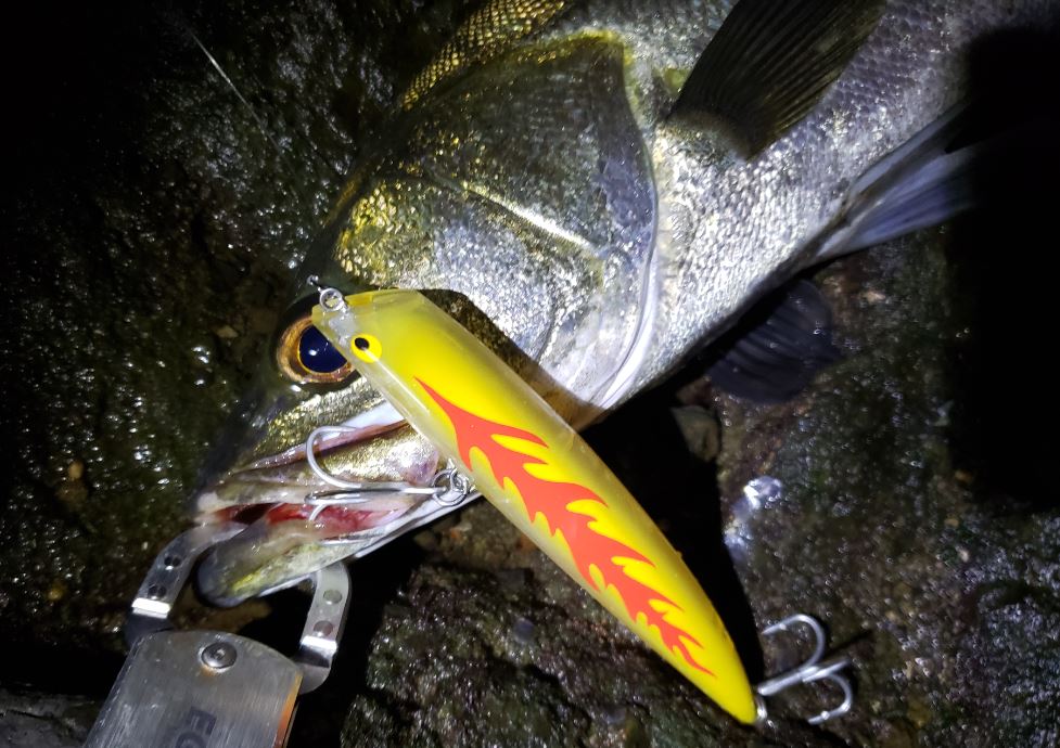 K-TEN Laboratory – タックルハウスデザイナー二宮正樹がお送りします