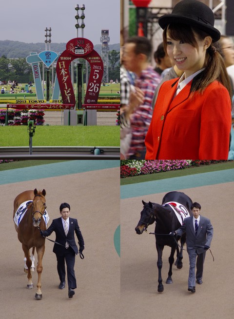 第80回日本ダービーを生観戦する: ちょっとだけ勝手に言わせてもらいます