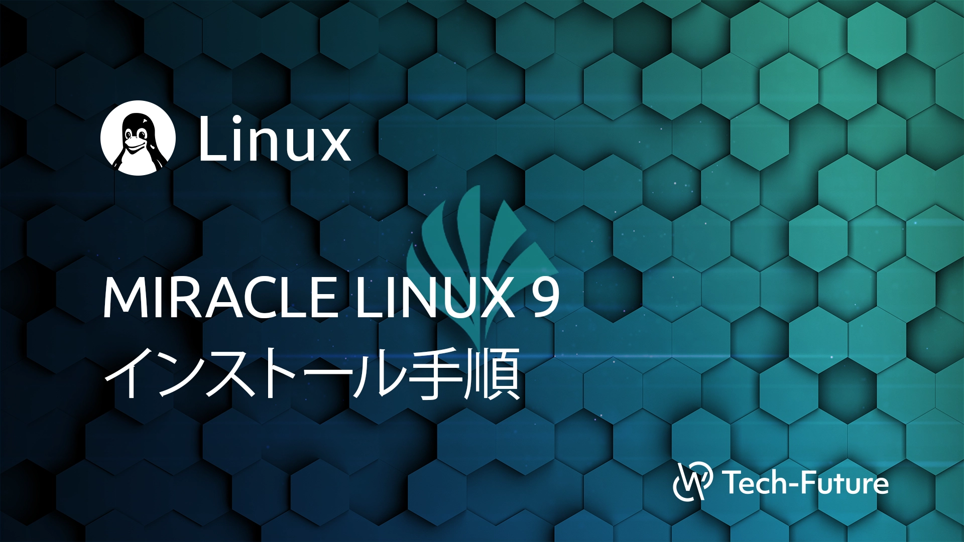 Linux】MIRACLE LINUX 9 インストール手順 | willserver for tech-future