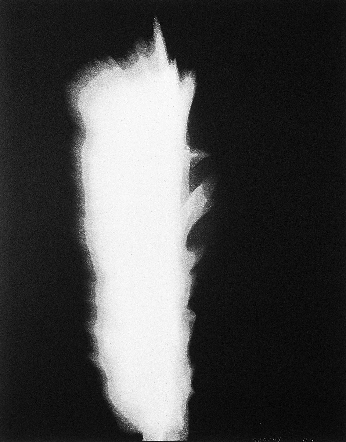 杉本博司陰翳礼賛 | hiromiyoshii.com