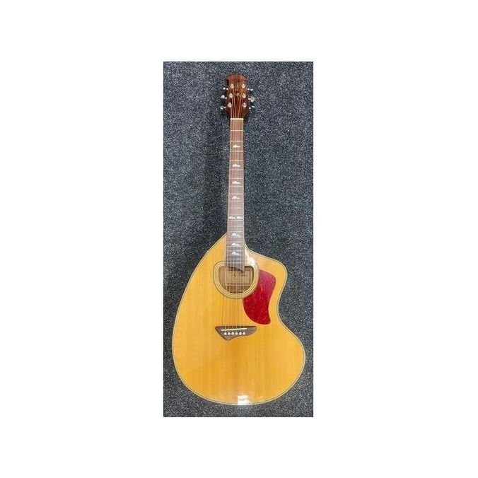 Jay Turser Giannini Steel Acoustic Guitar JTA-CRA-6S NG Pre-Owned