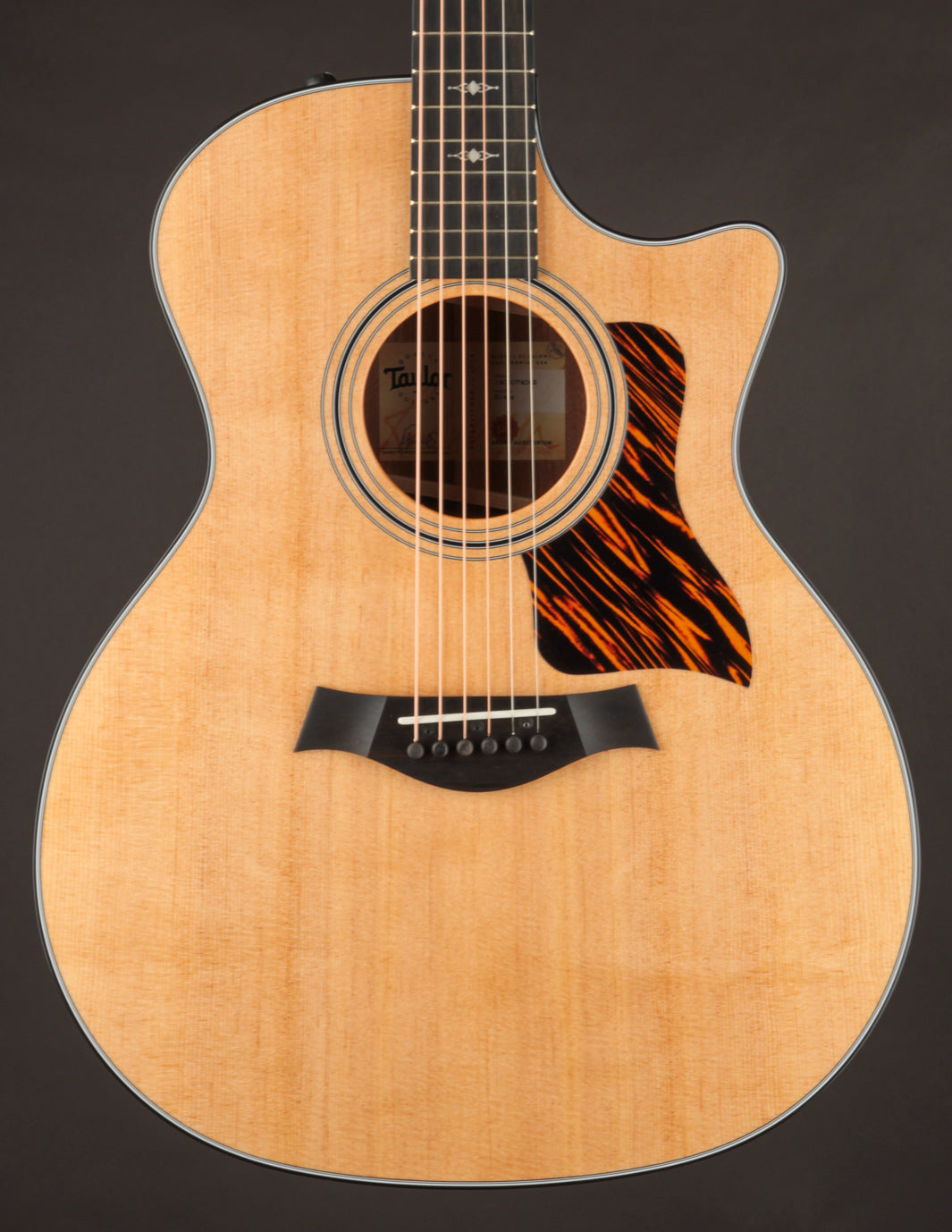 Taylor 314CE Acoustic-Electric Guitar | Features & Specs | The