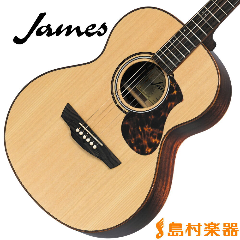 James J-800A NAT(ナチュラル) アコースティックギター 【ジェームス