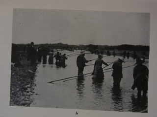 鮎コラム23 澤渡 要会員の「鮎毛バリ大図鑑」発刊を記念して！ 山本