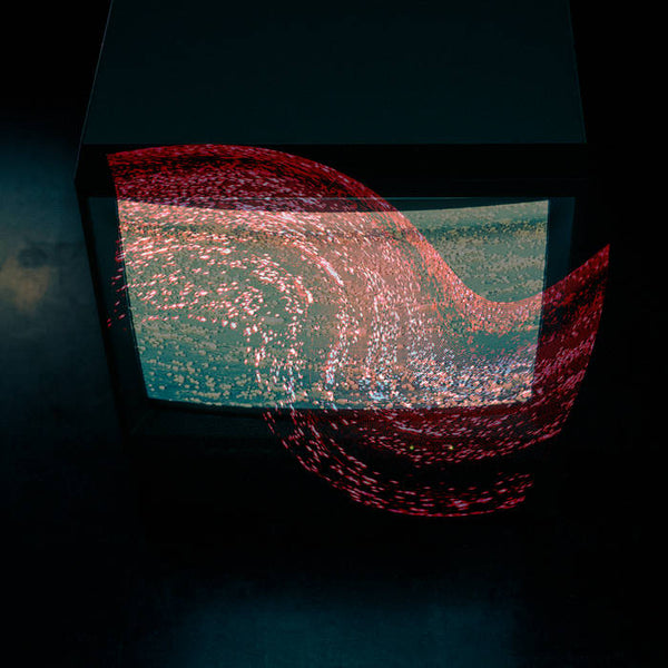 Multicast Dynamics // Soundtrack For Something That Does Not Exist