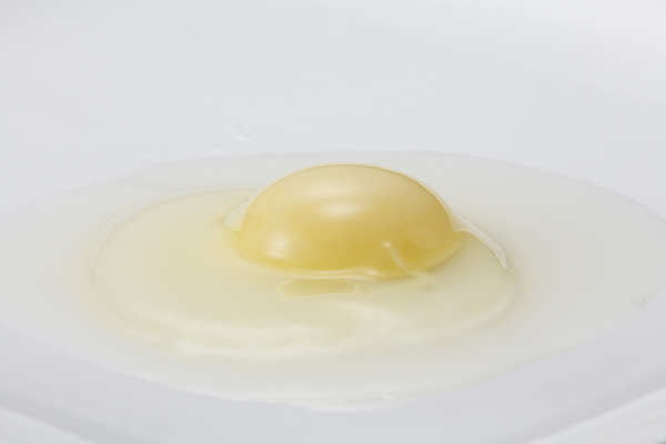 青森産 にわとりの白たまご殻L×120ケ 青森産 にわとりの白