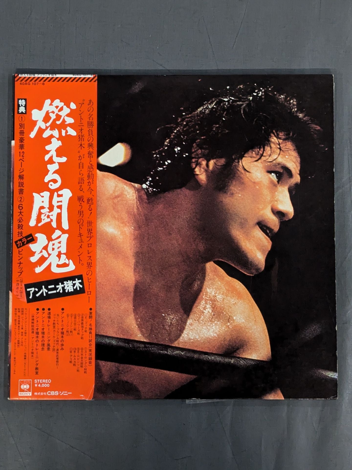 燃える闘魂 アントニオ猪木 書道 真作 コレクション レア 2023