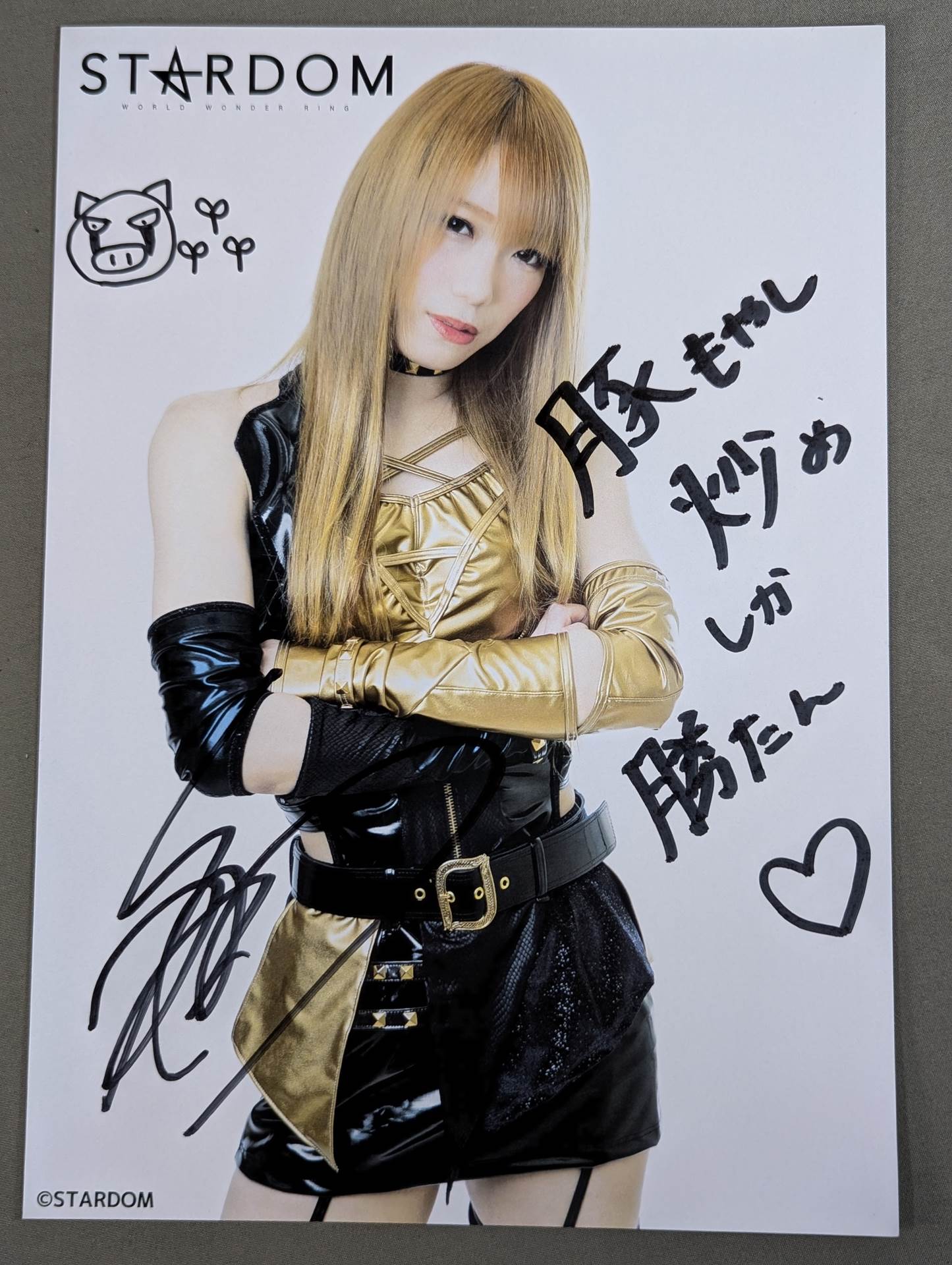 STARDOM 鹿島沙希 直筆サイン入りアクリルパネル Yahoo!オークション