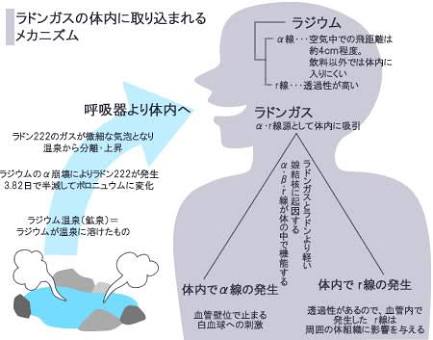 ラドン療法について - 福田内科クリニック | 島根県松江市
