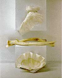 野田弘志 | 豊橋市美術博物館